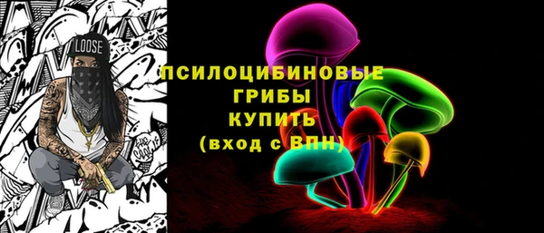 амф Касимов