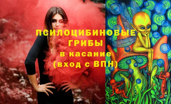 амф Касимов